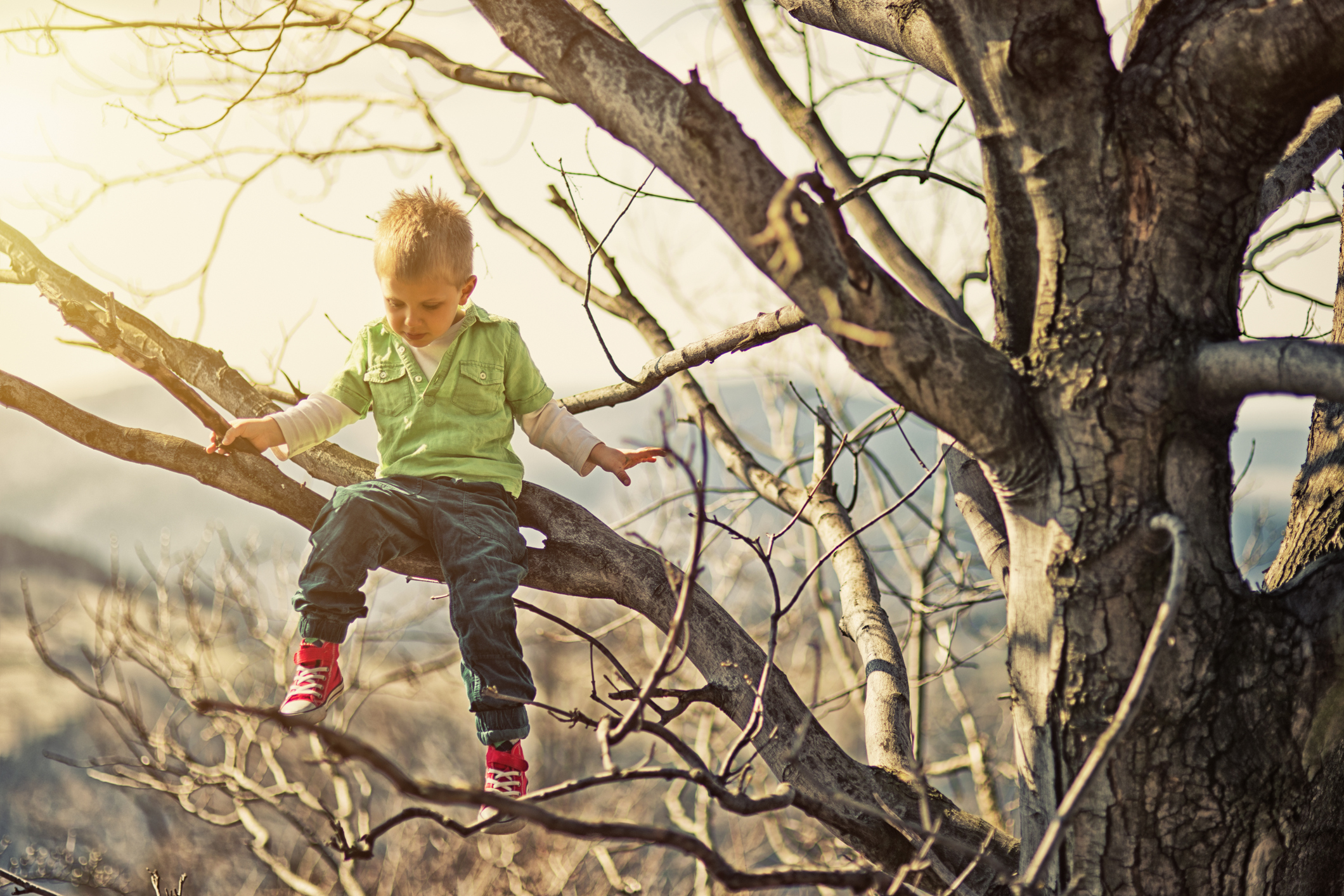 Climbing Trees